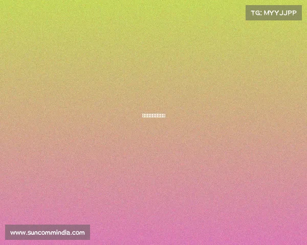 工资最高的体育联赛