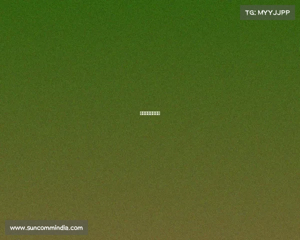 湖北电子科技学校